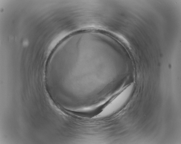 X0000066001279200603172156