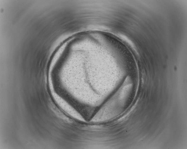 X0000066001280200603172156