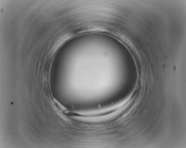 X0000066001281200603172156