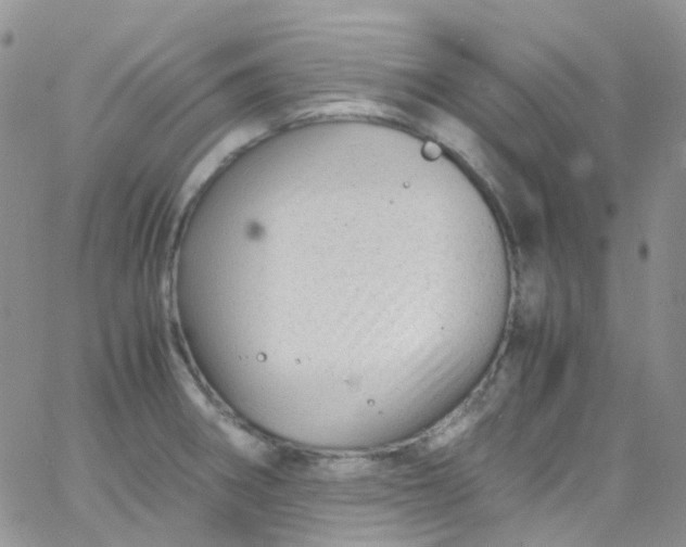 X0000066001282200603172156