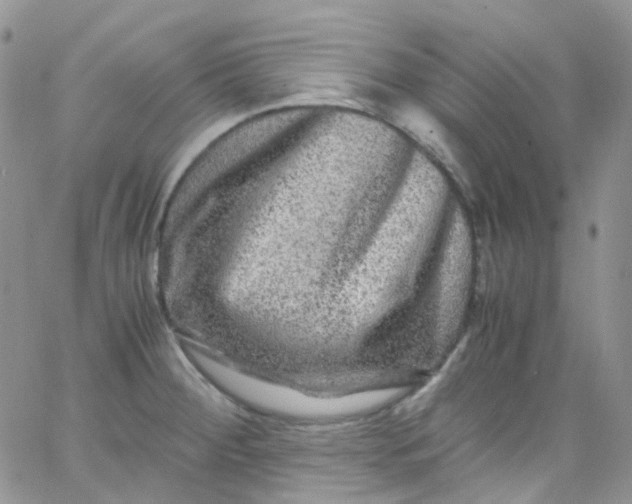 X0000066001284200603172156