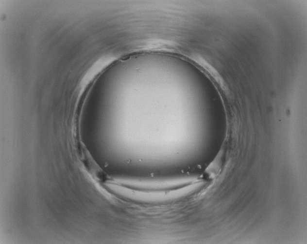 X0000066001285200603172156