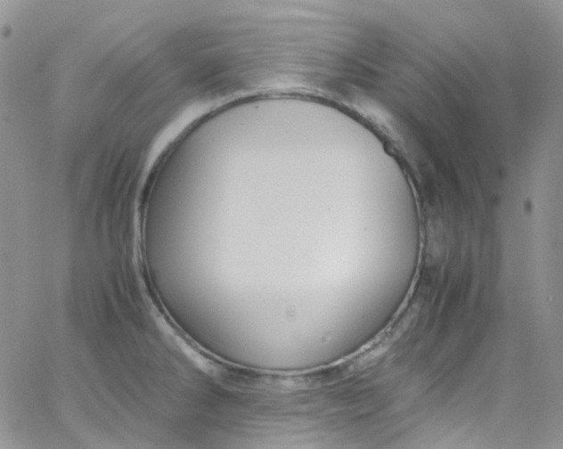 X0000066001286200603172156