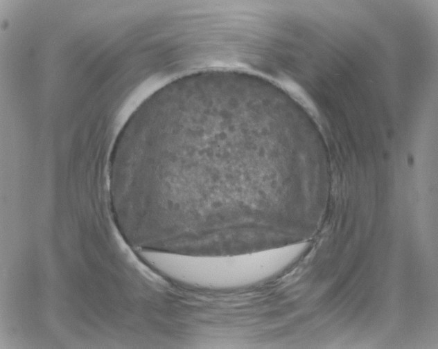 X0000066001287200603172156