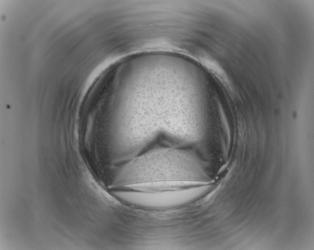 X0000066001288200603172156