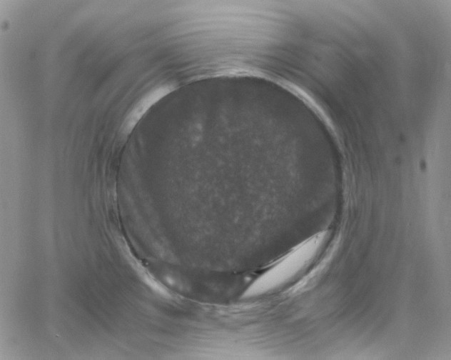 X0000066001289200603172156