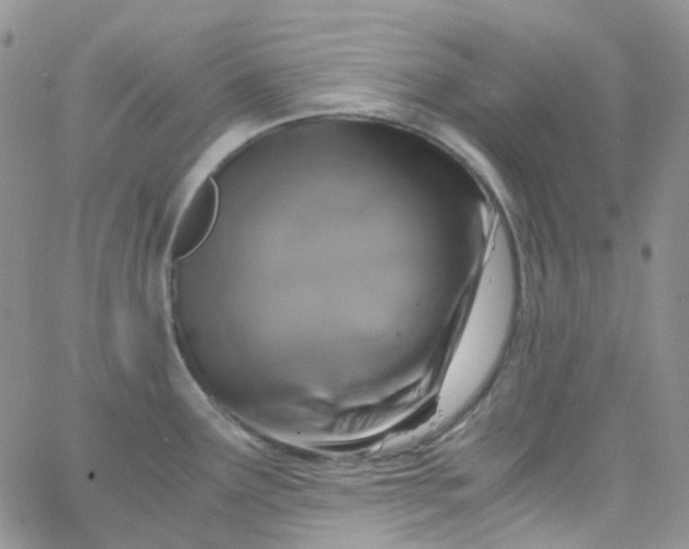 X0000066001291200603172156