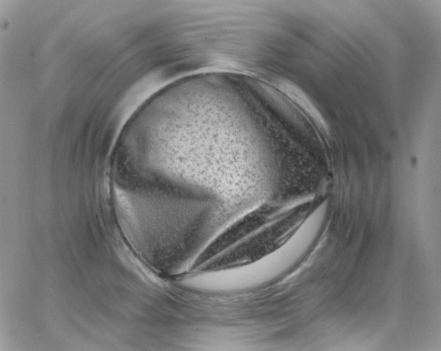 X0000066001292200603172156