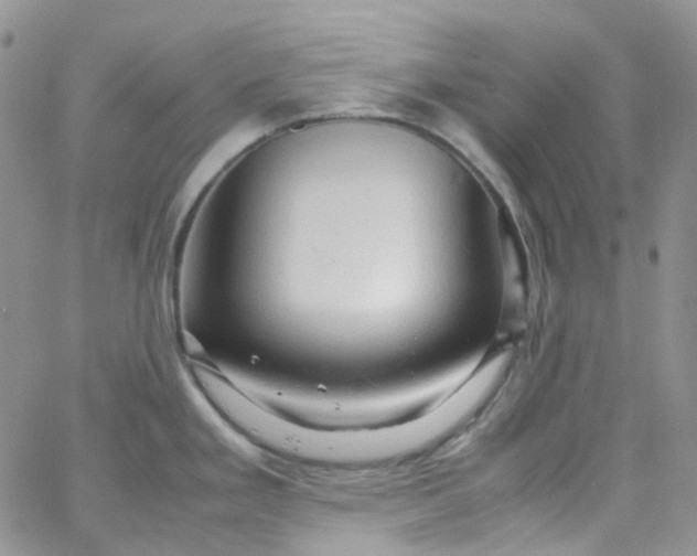 X0000066001293200603172156