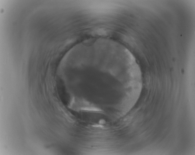 X0000066001297200603172155