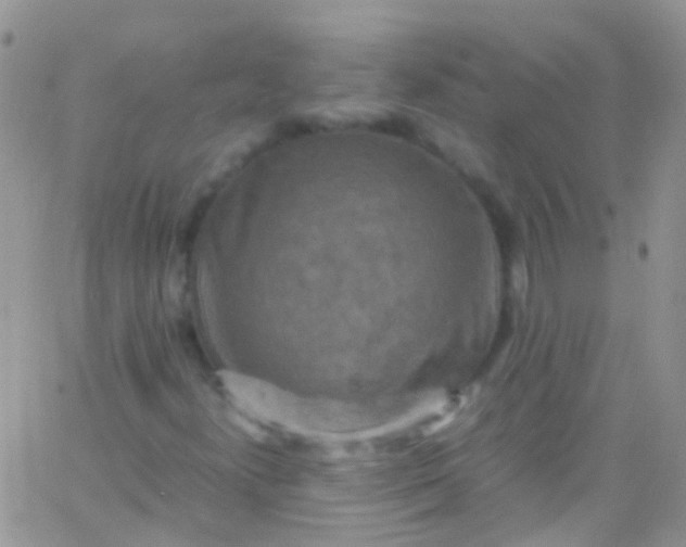 X0000066001300200603172155