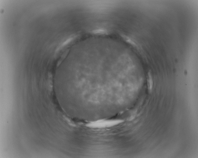 X0000066001301200603172155