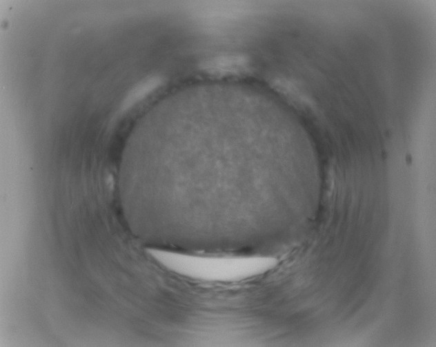 X0000066001302200603172155