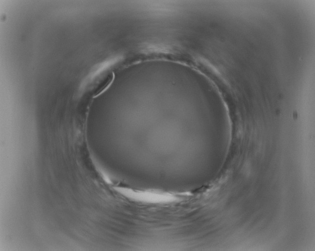 X0000066001303200603172155