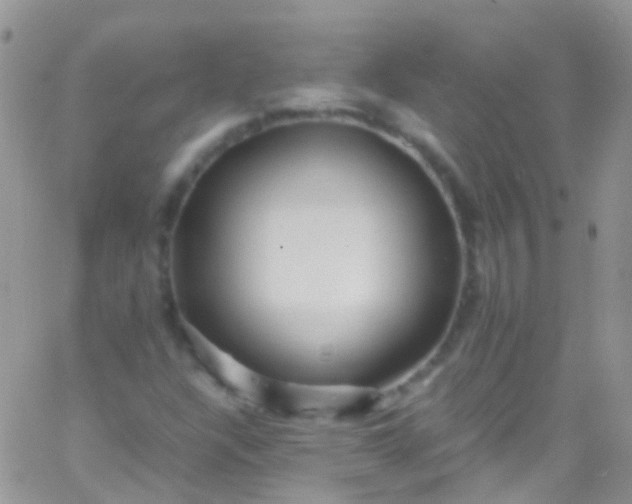 X0000066001304200603172155