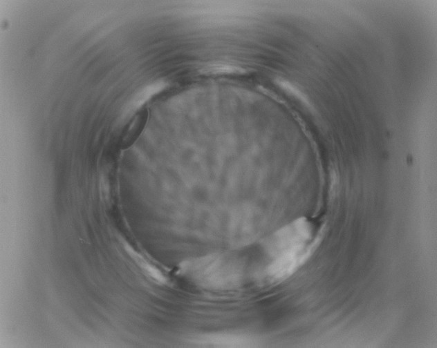 X0000066001305200603172155