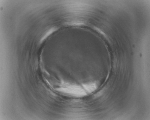 X0000066001306200603172155