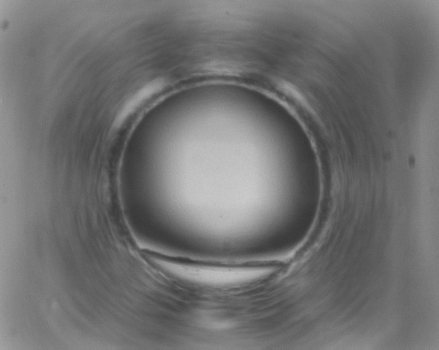 X0000066001307200603172155