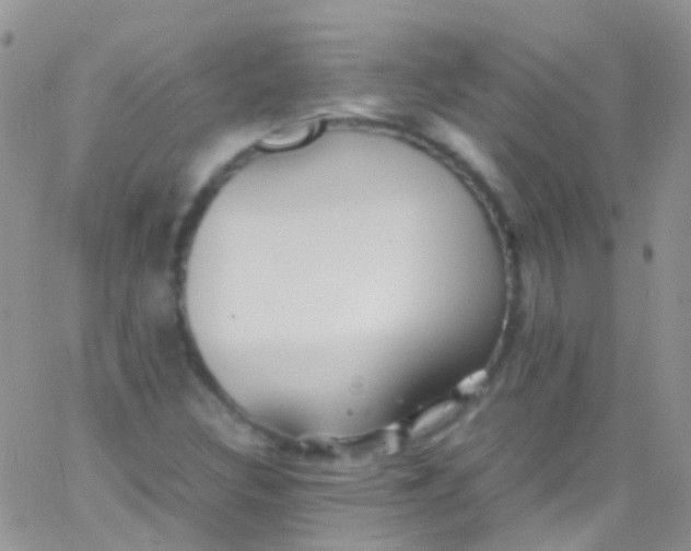 X0000066001308200603172155