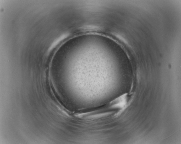 X0000066001309200603172155