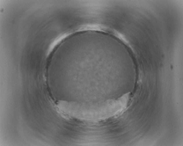 X0000066001312200603172155