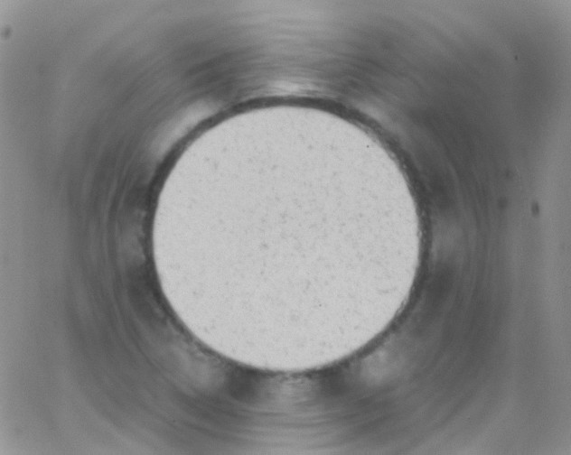 X0000066001314200603172155