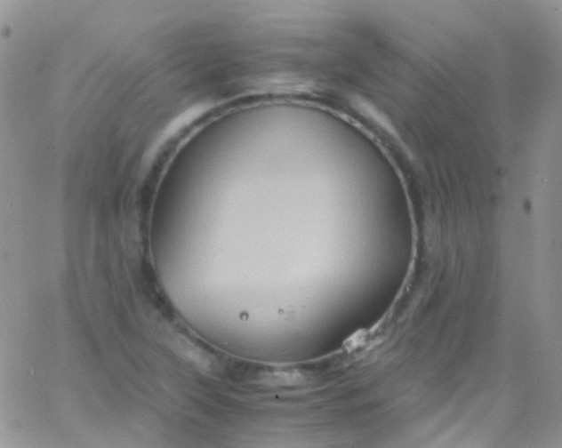 X0000066001315200603172155