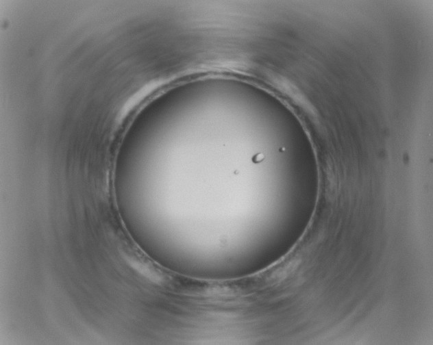 X0000066001316200603172155