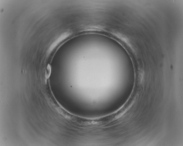 X0000066001317200603172155