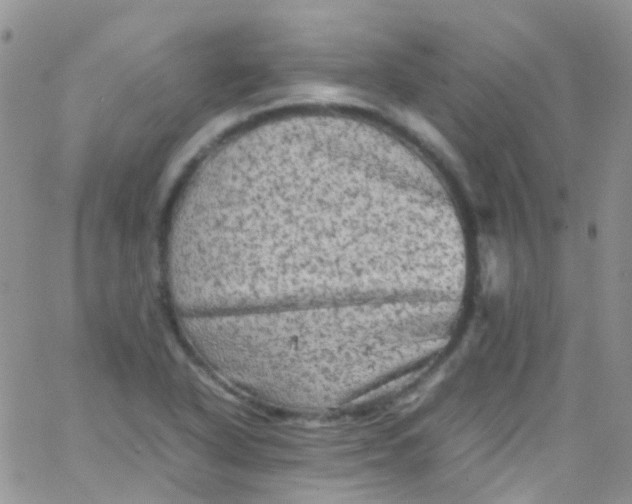 X0000066001318200603172155