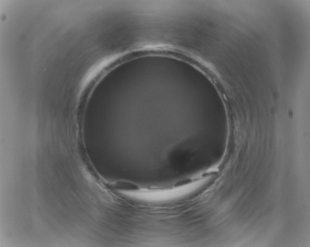 X0000066001319200603172155