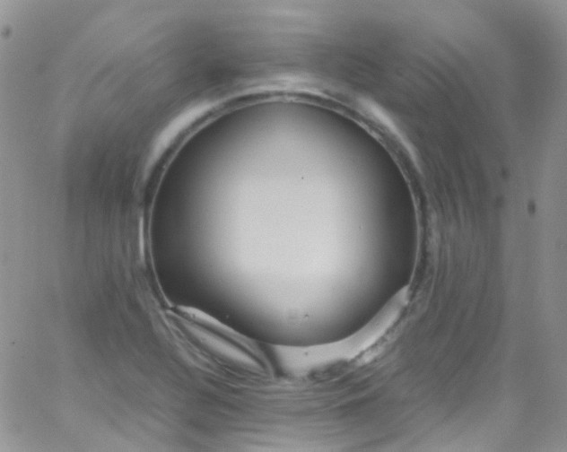 X0000066001320200603172155