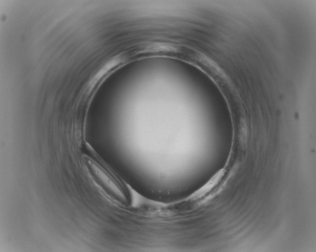 X0000066001321200603172155