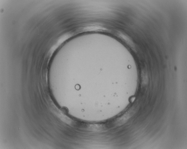 X0000066001322200603172155