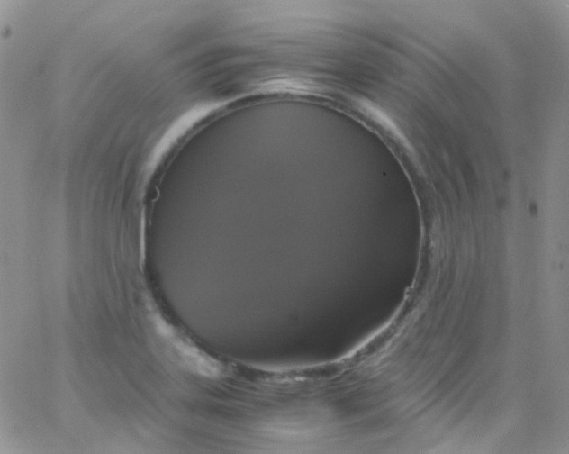 X0000066001323200603172155