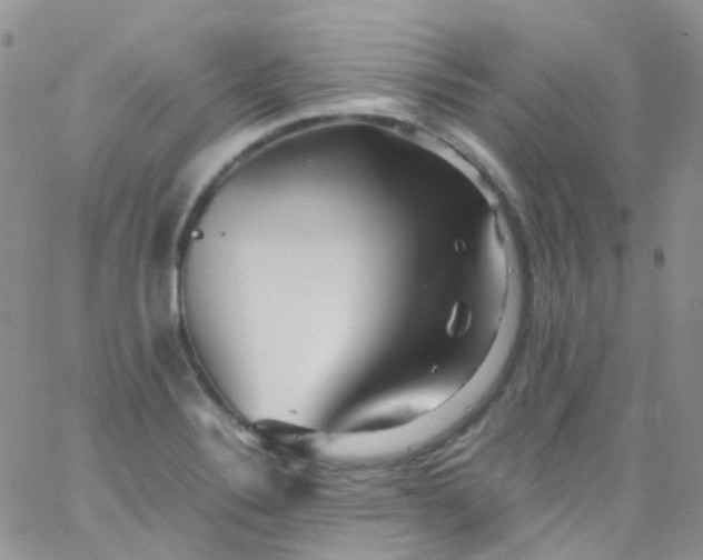 X0000066001324200603172155