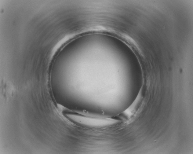 X0000066001326200603172155