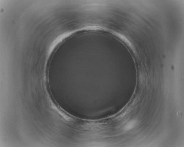 X0000066001327200603172155