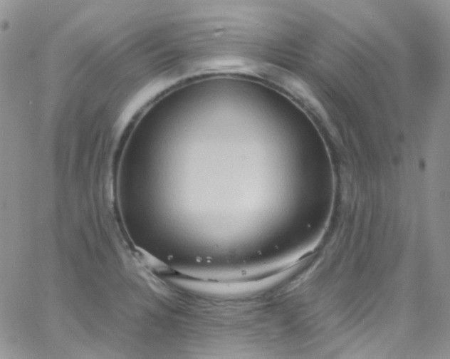 X0000066001328200603172155