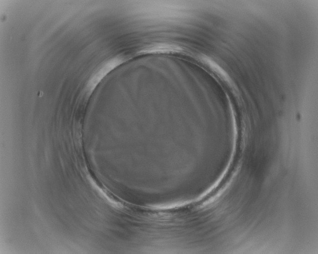 X0000066001329200603172156