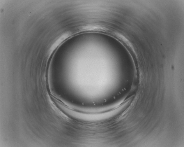 X0000066001330200603172156