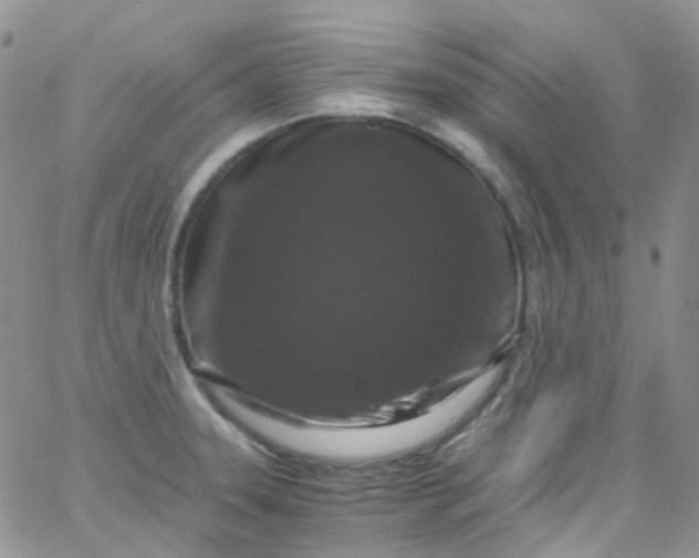 X0000066001331200603172156