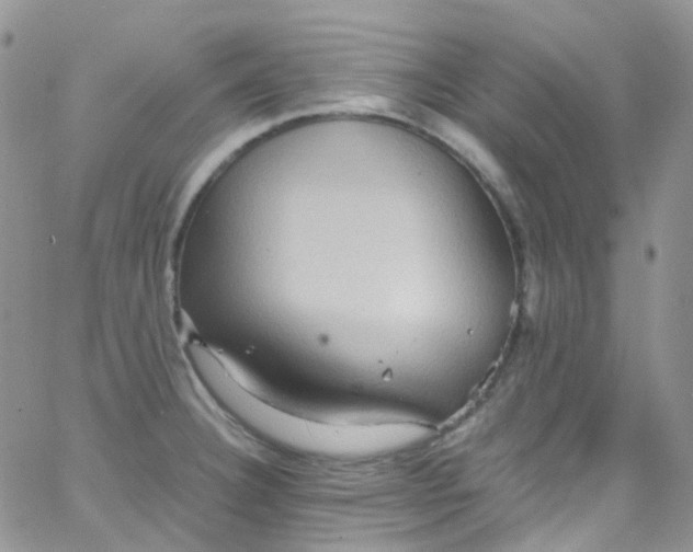 X0000066001332200603172156