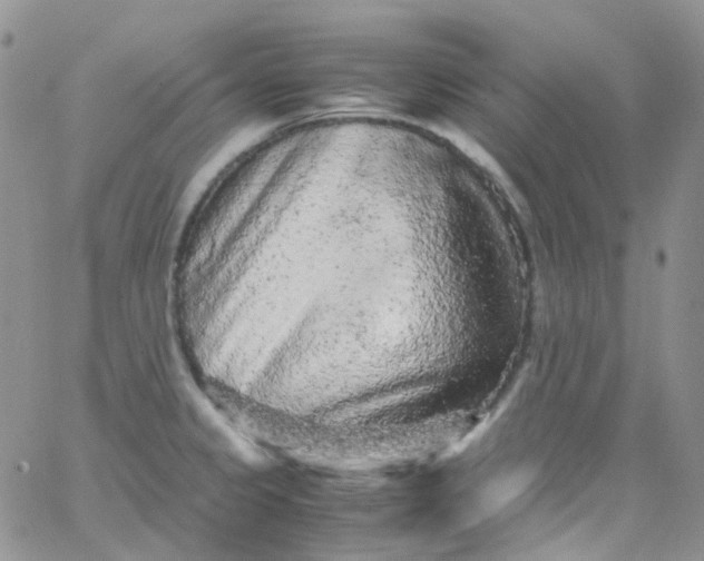 X0000066001333200603172156