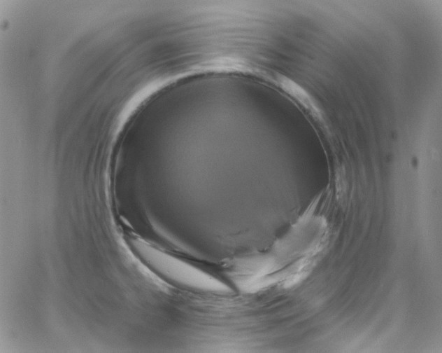 X0000066001334200603172156