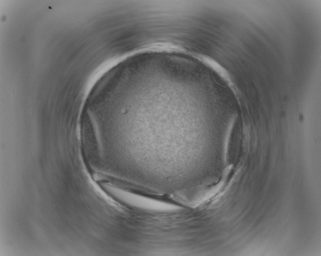 X0000066001335200603172156