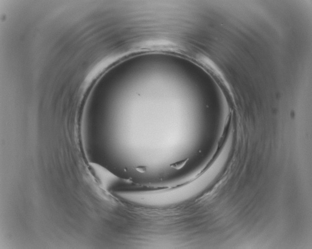 X0000066001336200603172156