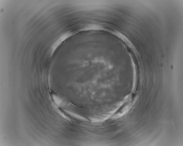 X0000066001337200603172156