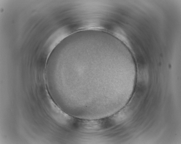 X0000066001338200603172156