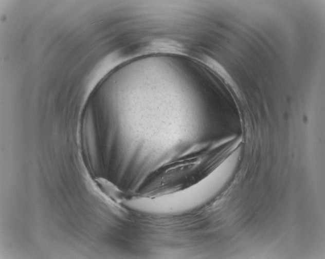 X0000066001339200603172156